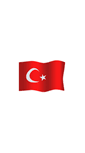 Mobile Screenshot of eserotomatikbayrak.com