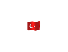Tablet Screenshot of eserotomatikbayrak.com